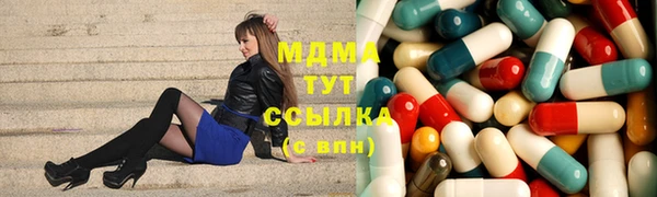 прущие грибы Сясьстрой