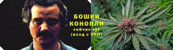 гидропоника Белоозёрский