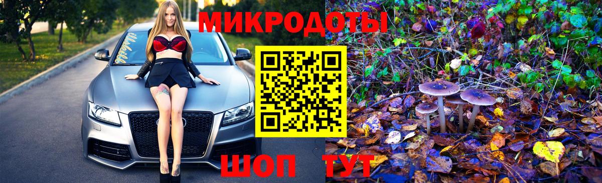 Псилоцибиновые грибы прущие грибы Гулькевичи