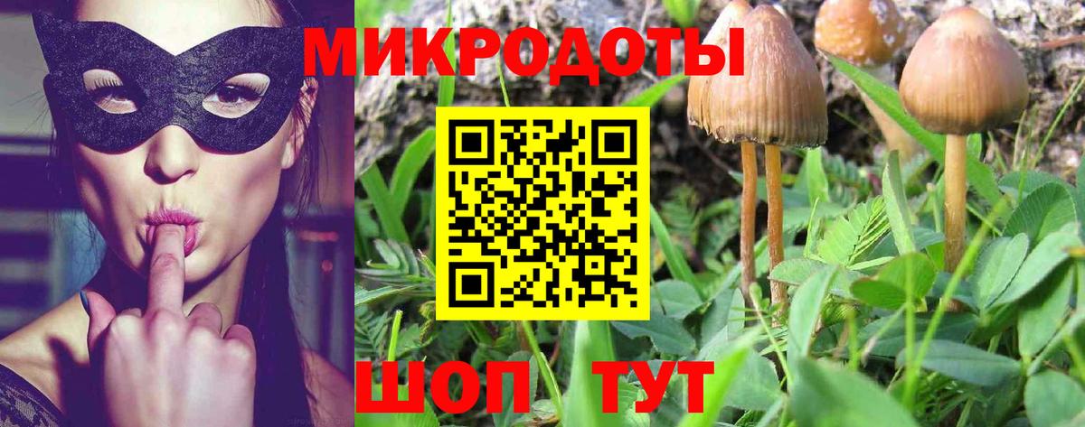 Гулькевичи  Галлюциногенные грибы Psilocybine cubensis  Вход с VPN  Псилоцибиновые грибы GOLDEN TEACHER 